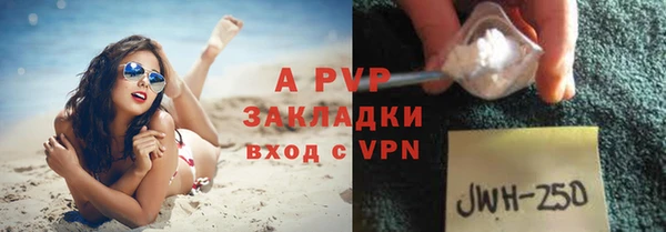 дмт Вяземский