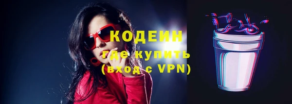 дмт Вяземский