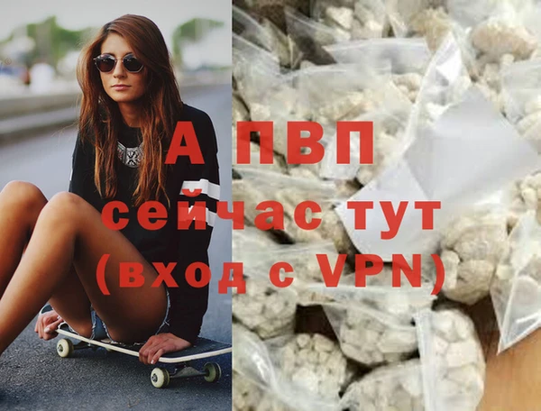 дмт Вяземский