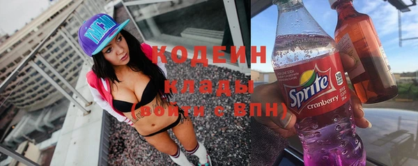 дмт Вяземский